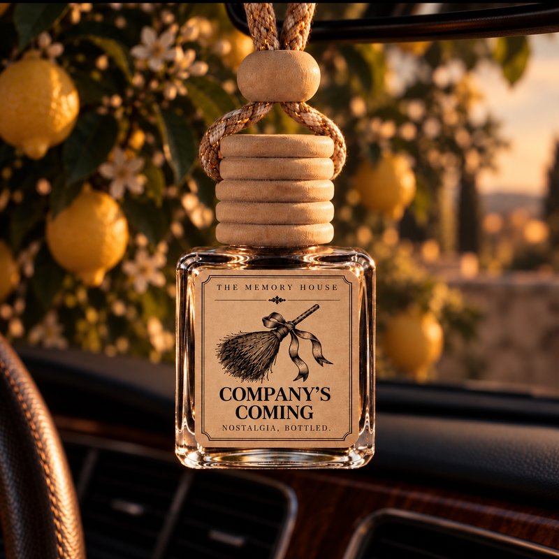 Company's Coming Car Diffuser
